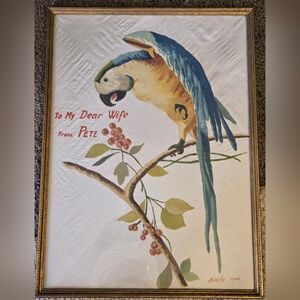 Vintage Handpainted Macaw On Silk Made In Sicily 1943 WWII Framed History 19x14